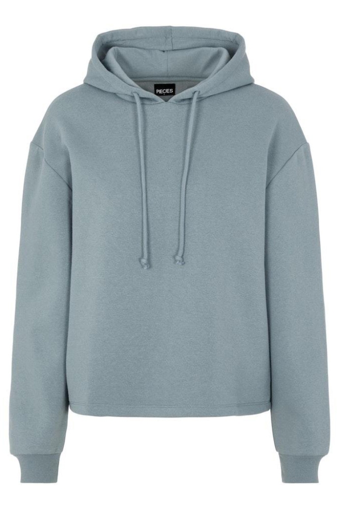 PCCHILLI LS HOODIE NOOS BC 17113437 Trooper